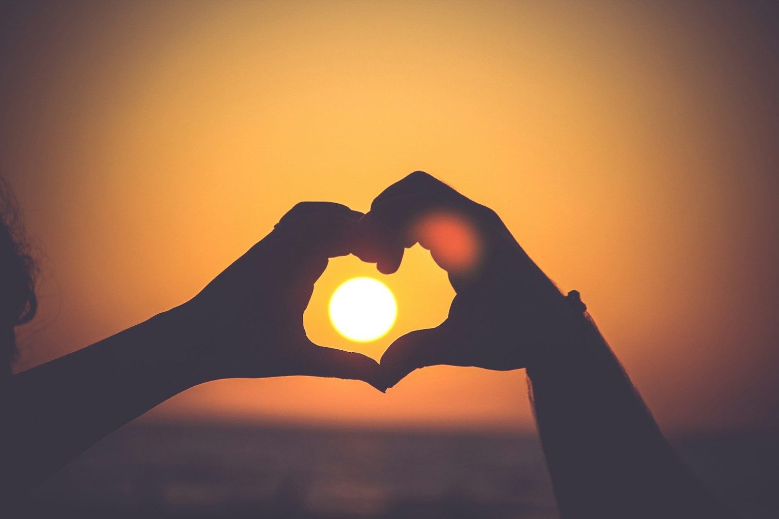 Fighting Romance Scams: How Identity Verification Can Save Love romance scams
